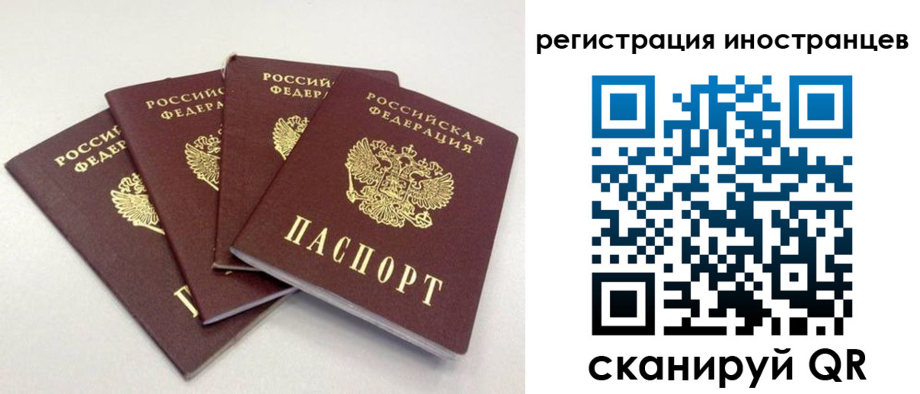 временная регистрация для школы в Красном Куте